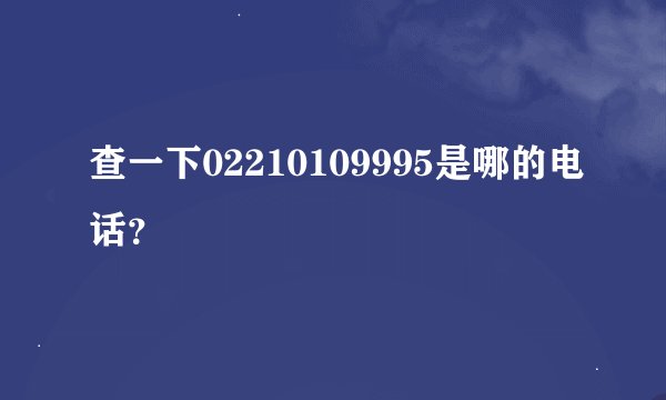 查一下02210109995是哪的电话？