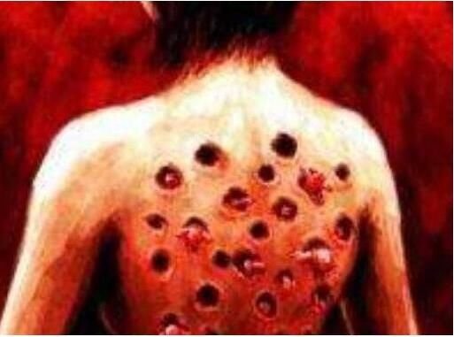 芝麻女孩和玉米男孩的故事是真的吗？