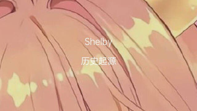 shelby是什么意思?