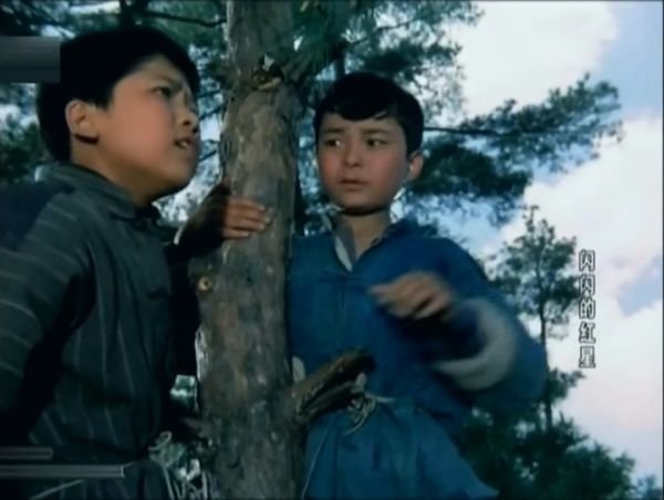 电影闪闪的红星评价