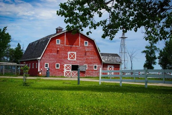 如如影视农场主的三个女儿演员表