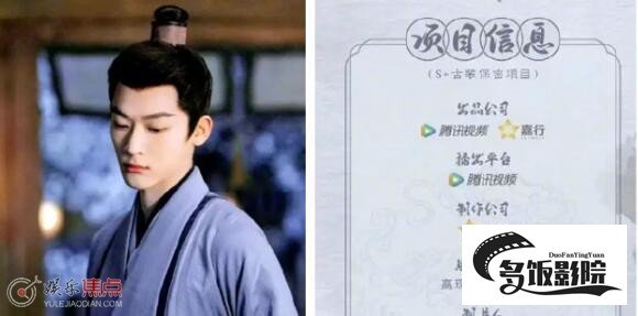 张晚意身高多少