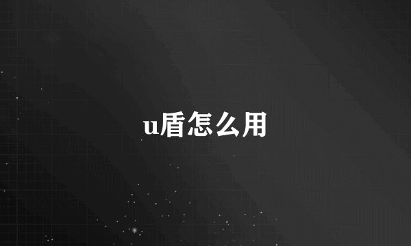 u盾怎么用