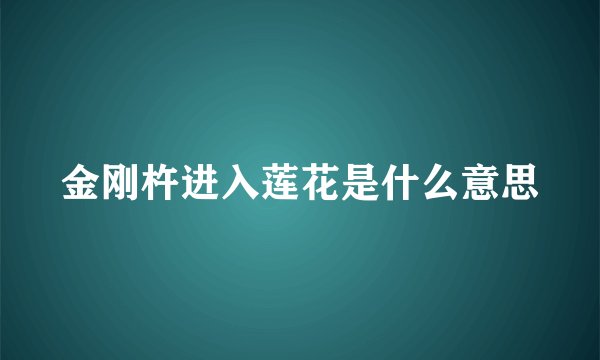 金刚杵进入莲花是什么意思