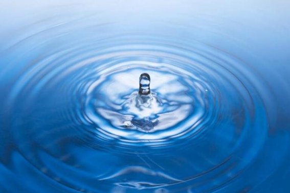 一滴水可以活多久阅读理解