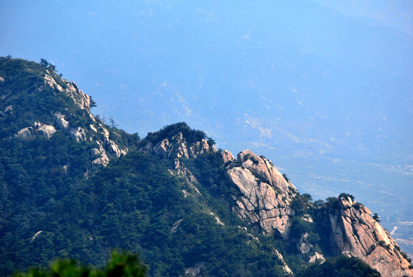 濛山论坛的内容版块