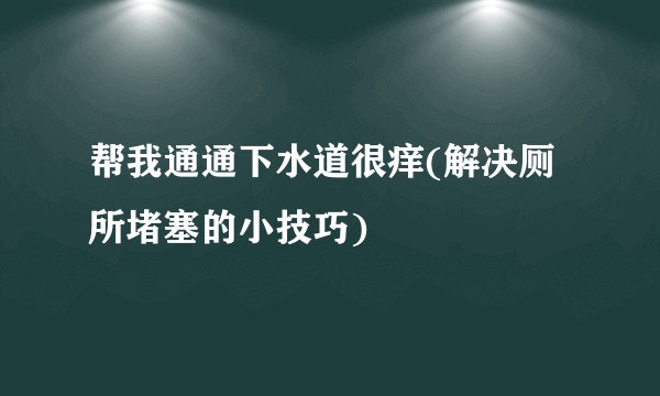 帮我通通下水道很痒(解决厕所堵塞的小技巧)