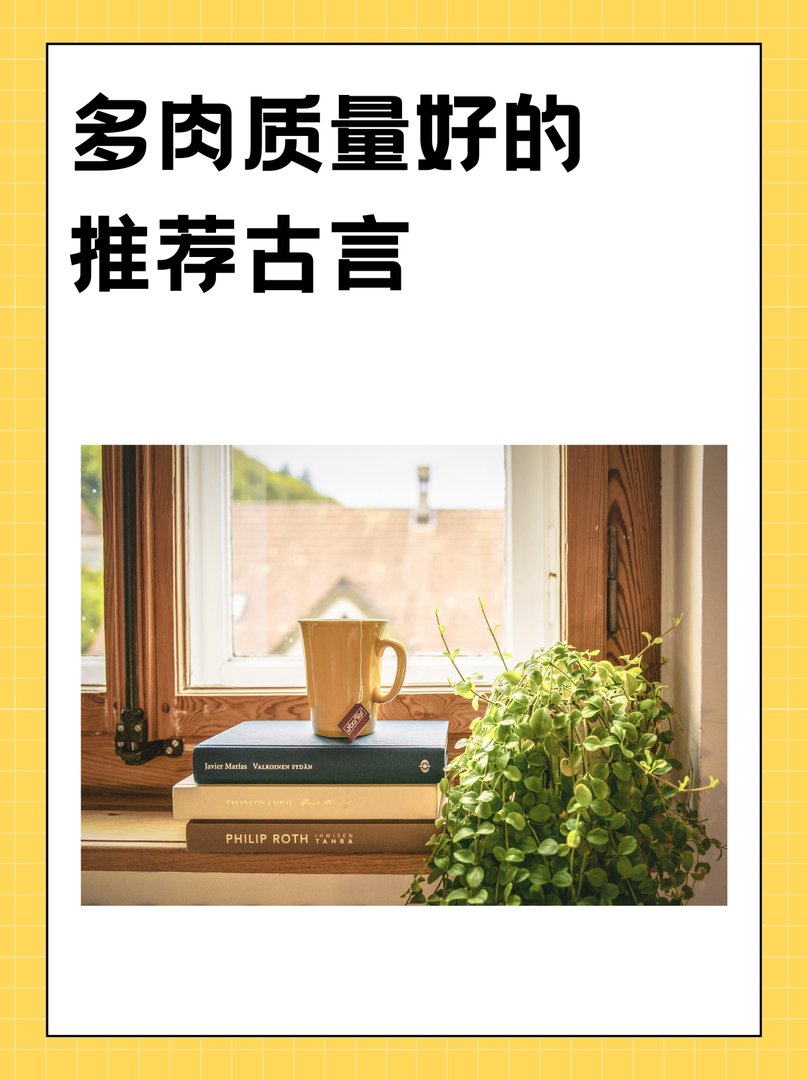 多肉质量好的推荐古言