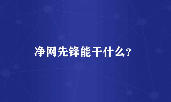 净网先锋能干什么？