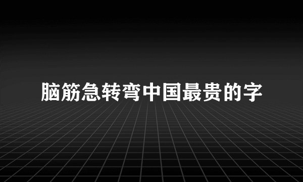 脑筋急转弯中国最贵的字
