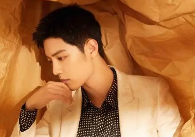 中国男演员前100名