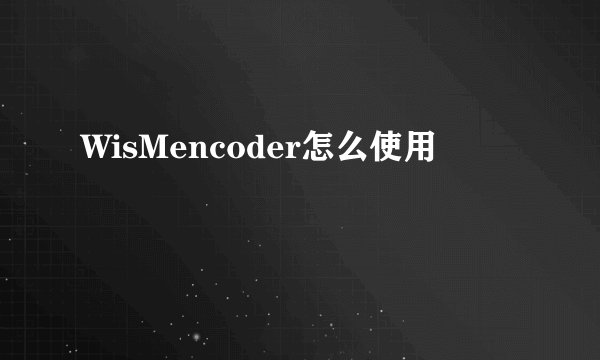 WisMencoder怎么使用