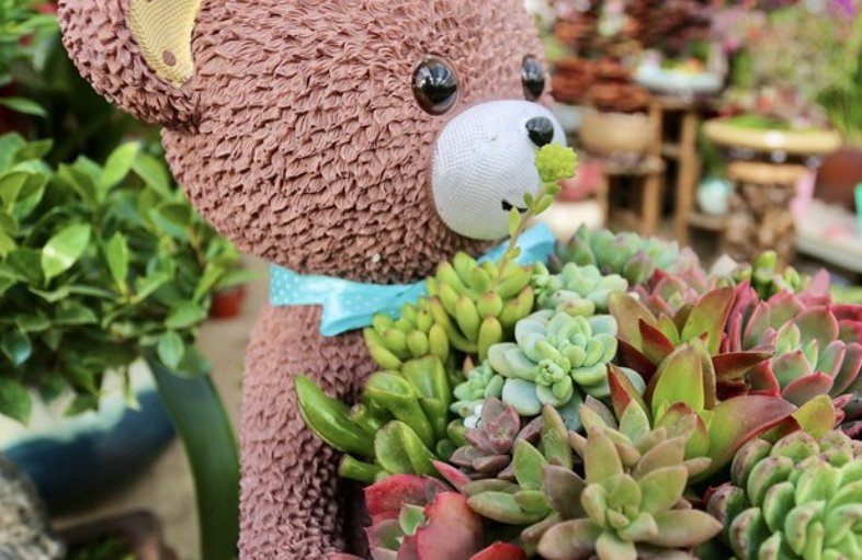 北京花卉市场有哪几家