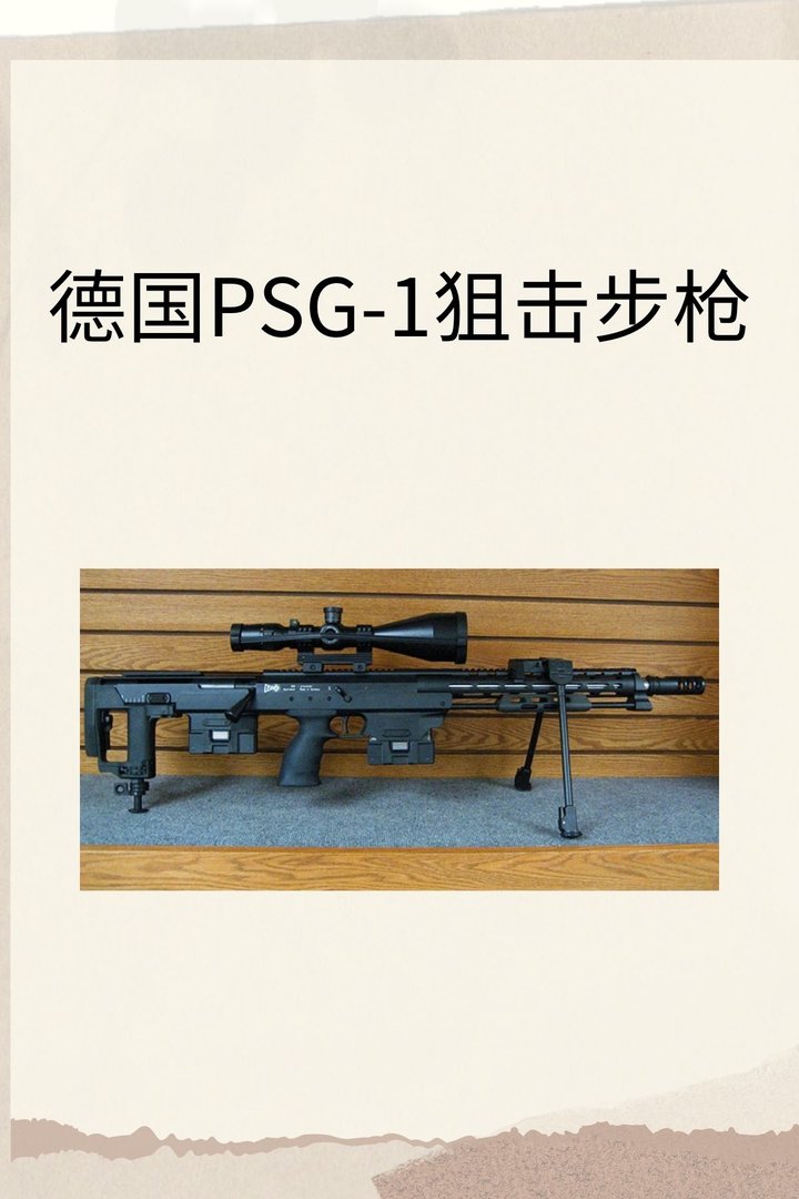 德国PSG-1狙击步枪