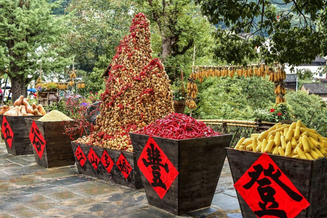 十全十美是什么？