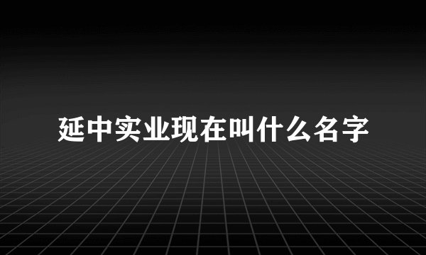 延中实业现在叫什么名字
