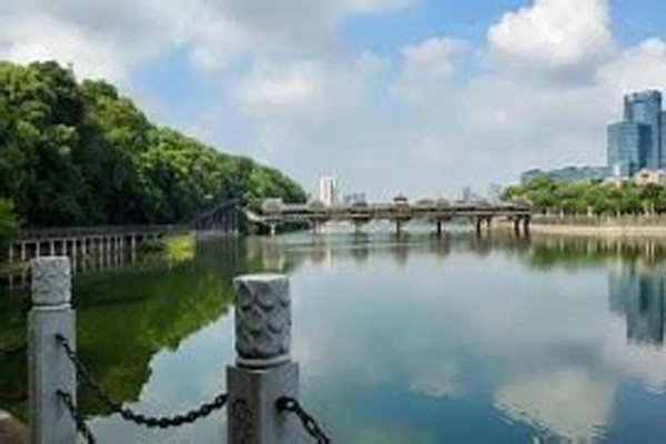 绿藤市是哪个省