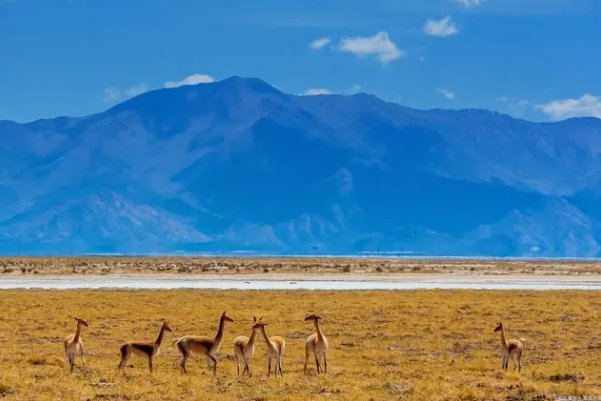 亚洲一二三无人区的面积