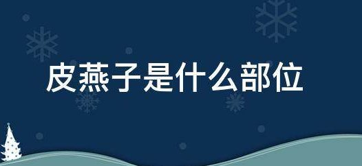 皮燕子到底是什么梗？