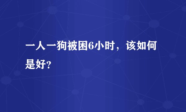 一人一狗被困6小时，该如何是好？