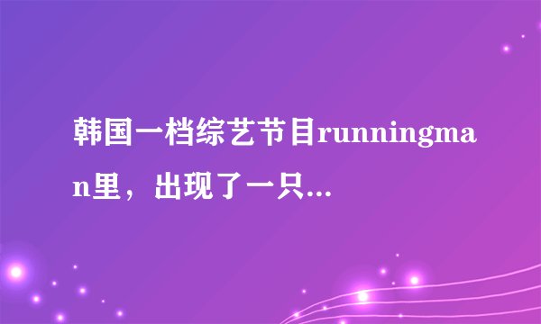 韩国一档综艺节目runningman里，出现了一只韩国人扮演的从中国花4亿元买来的狗chaochao，这是什么意思？