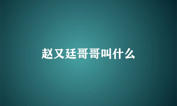 赵又廷哥哥叫什么