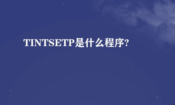 TINTSETP是什么程序?