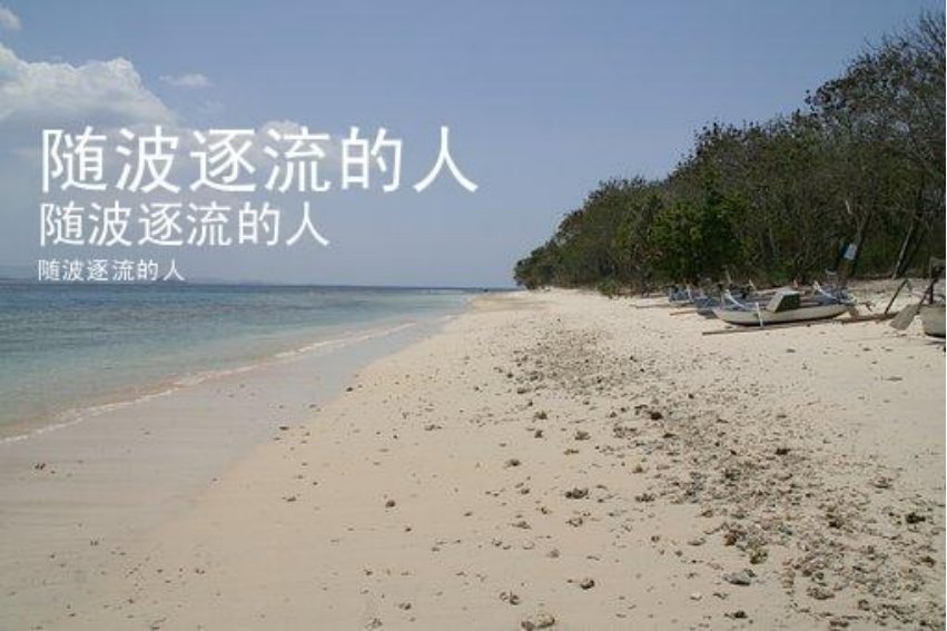 随波逐流打一个生肖