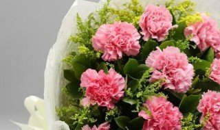 19朵康乃馨花语 19朵康乃馨花语是什么