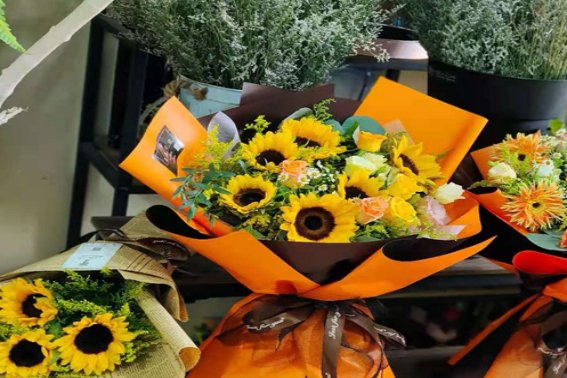 高考时向日葵代表什么