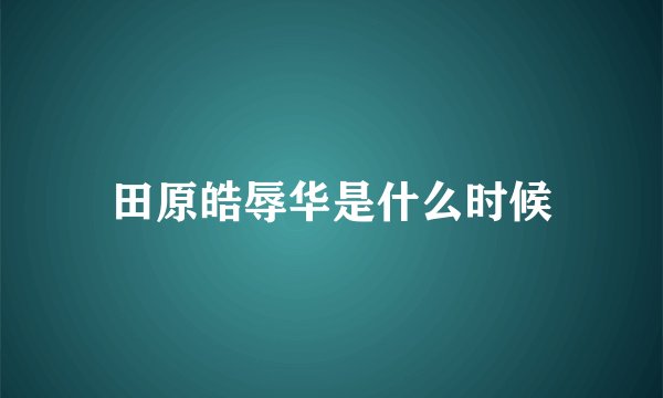 田原皓辱华是什么时候