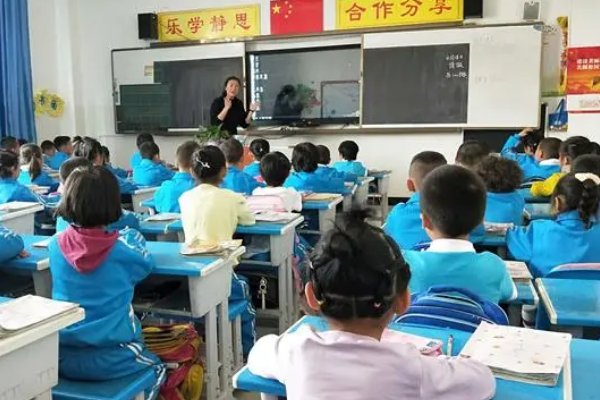 评述是什么意思