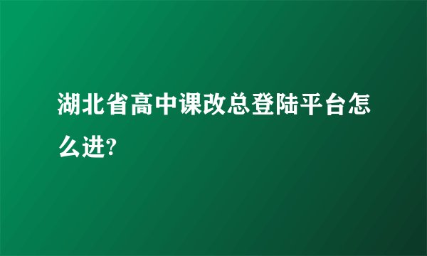 湖北省高中课改总登陆平台怎么进?
