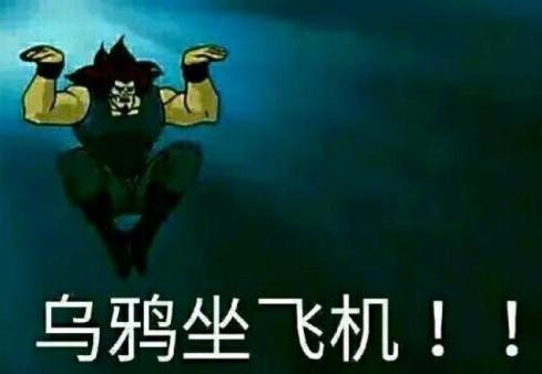 乌鸦坐飞机什么梗