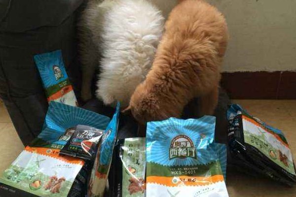 奥丁狗粮怎么样？