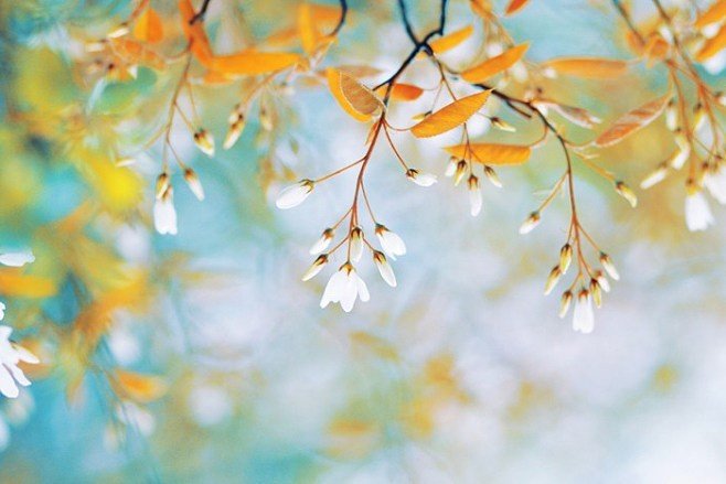 一草一木的意思