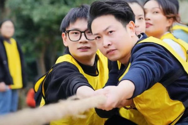 凝聚力是什么意思