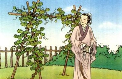 我要的是葫芦这篇课文给了我们什么启示呢？