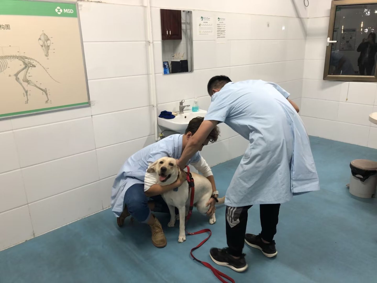 农大宠物医院地址电话