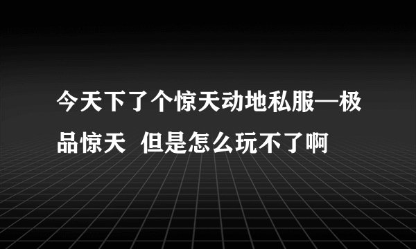 今天下了个惊天动地私服—极品惊天  但是怎么玩不了啊