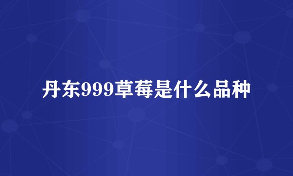 丹东999草莓是什么品种