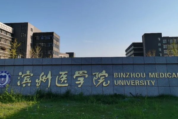 滨州医学院专升本录取线多少?