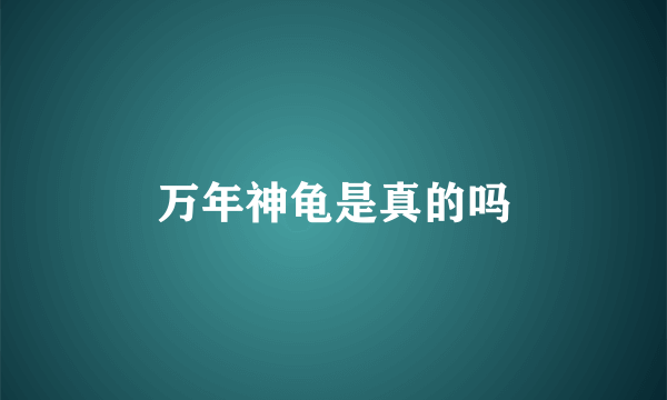 万年神龟是真的吗