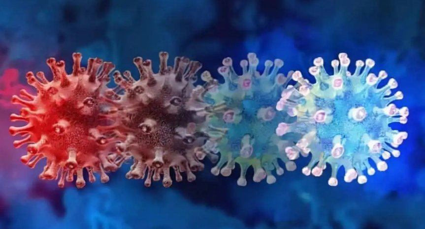 超强变异毒株进韩国，这种毒株的传染性如何？