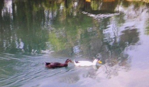 上水和下水是什么意思？