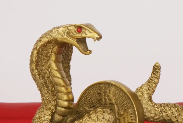 装怯作勇打一生肖