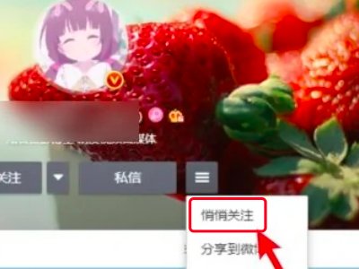 微博怎么设置悄悄关注