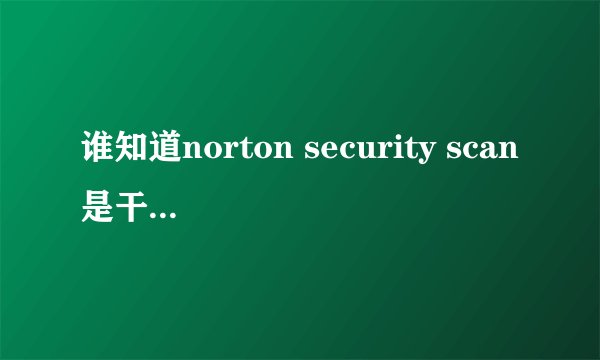 谁知道norton security scan是干什么的?
