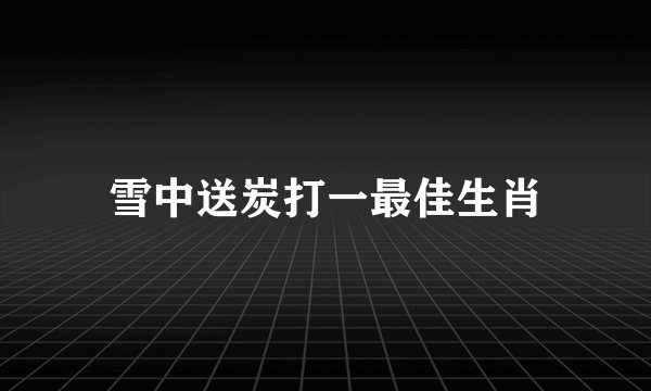 雪中送炭打一最佳生肖