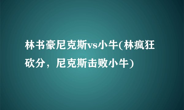 林书豪尼克斯vs小牛(林疯狂砍分，尼克斯击败小牛)